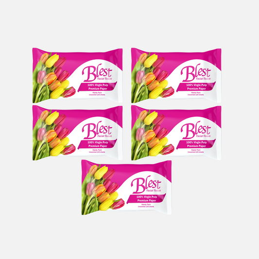 Blest Facial Tissue Handy Pack 2 Ply 50 Pull x 5 Packs (250 Pulls)
