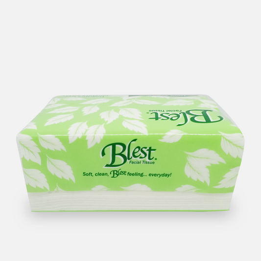 Blest Facial Tissue Handy Pack 160 Pulls 2 Ply Jumbo