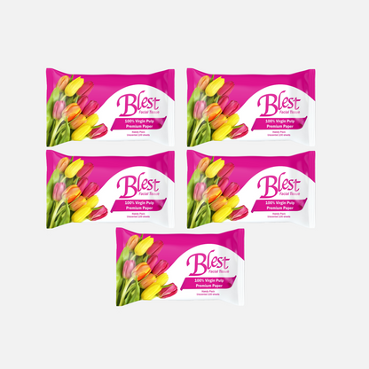 Blest Facial Tissue Handy Pack 2 Ply 50 Pull x 5 Packs (250 Pulls)