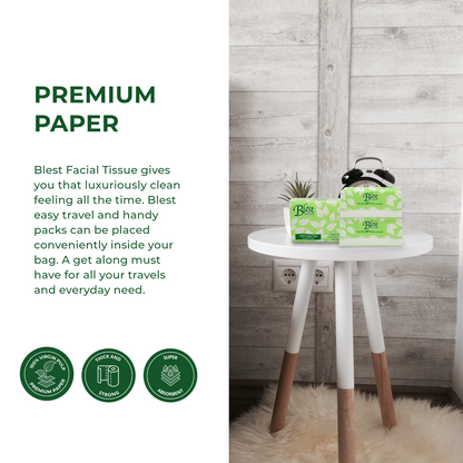 Blest Facial Tissue Handy Pack 160 Pulls 2 Ply Jumbo