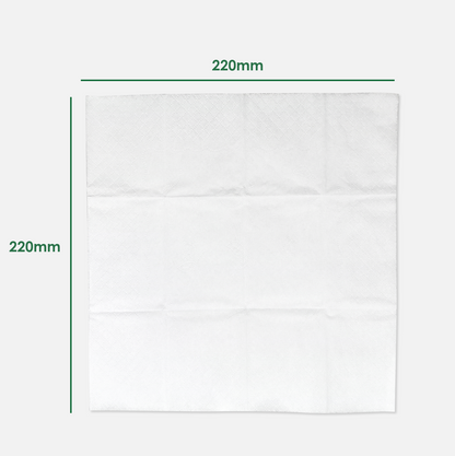 Blest Facial Pocket Tissue 2 Ply 10 Pulls x 6 Pocket (60 Pulls)