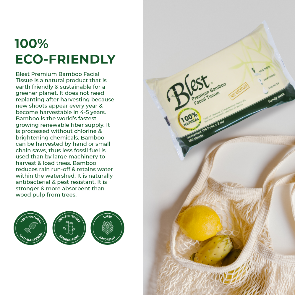 Blest Premium Bamboo Facial Tissue Handy Pack 2 Ply 100 Pulls