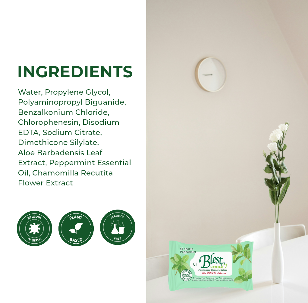 Blest Natural Plant-based Cleansing Wipes Peppermint Scent 15 Sheets 4 Packs